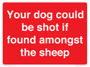 your-dog-could-be-shot-if-found-amongst-the-sheep~
